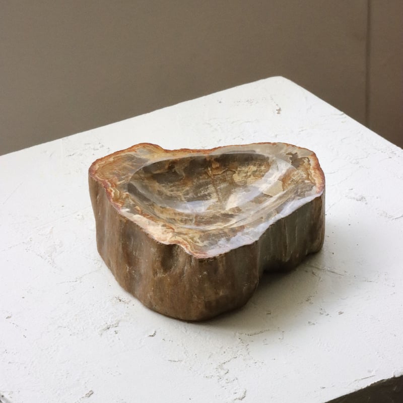 OAK ” Petrified Wood Accessory Tray - M #411