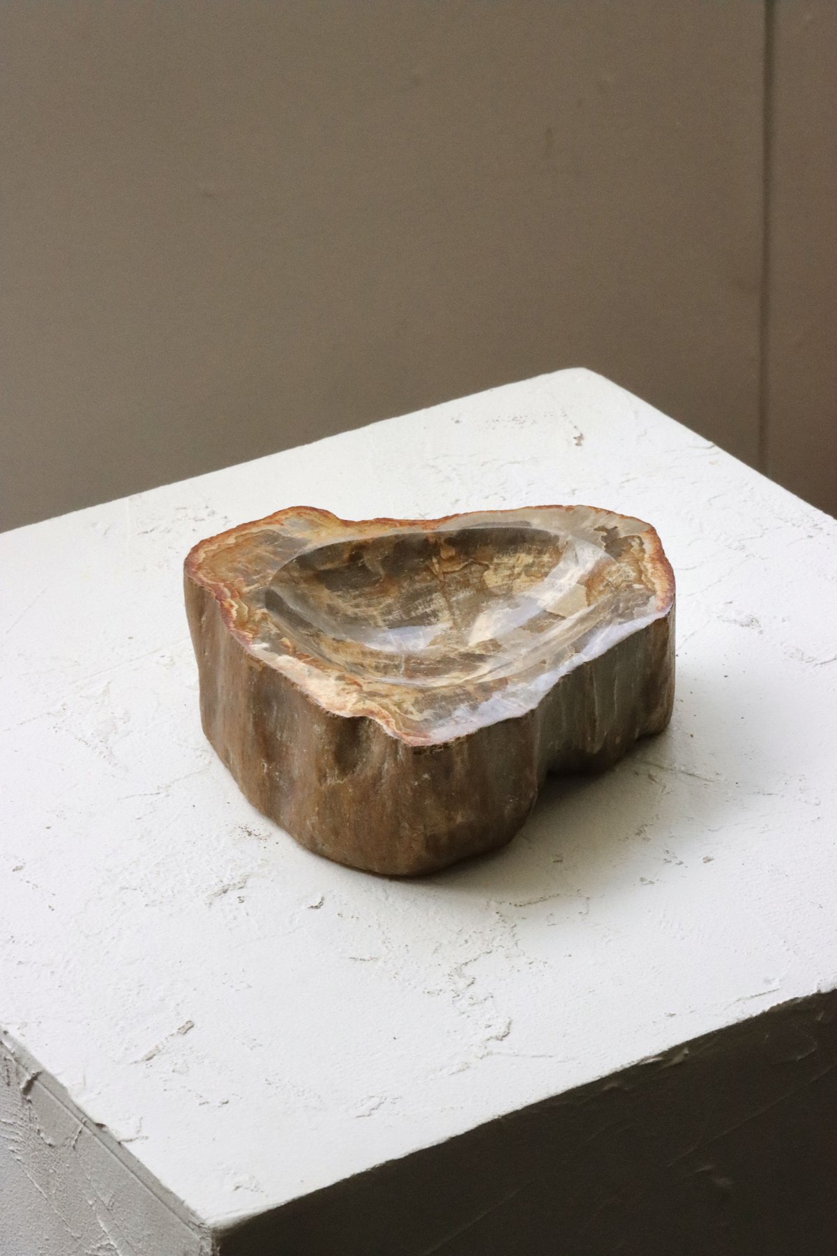 OAK ” Petrified Wood Accessory Tray - M #411