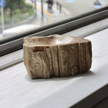 " OAK ” Petrified Wood Accessory Tray - S #443
