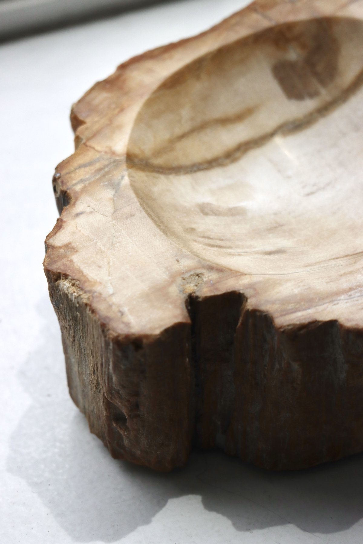 OAK ” Petrified Wood Accessory Tray - S #435