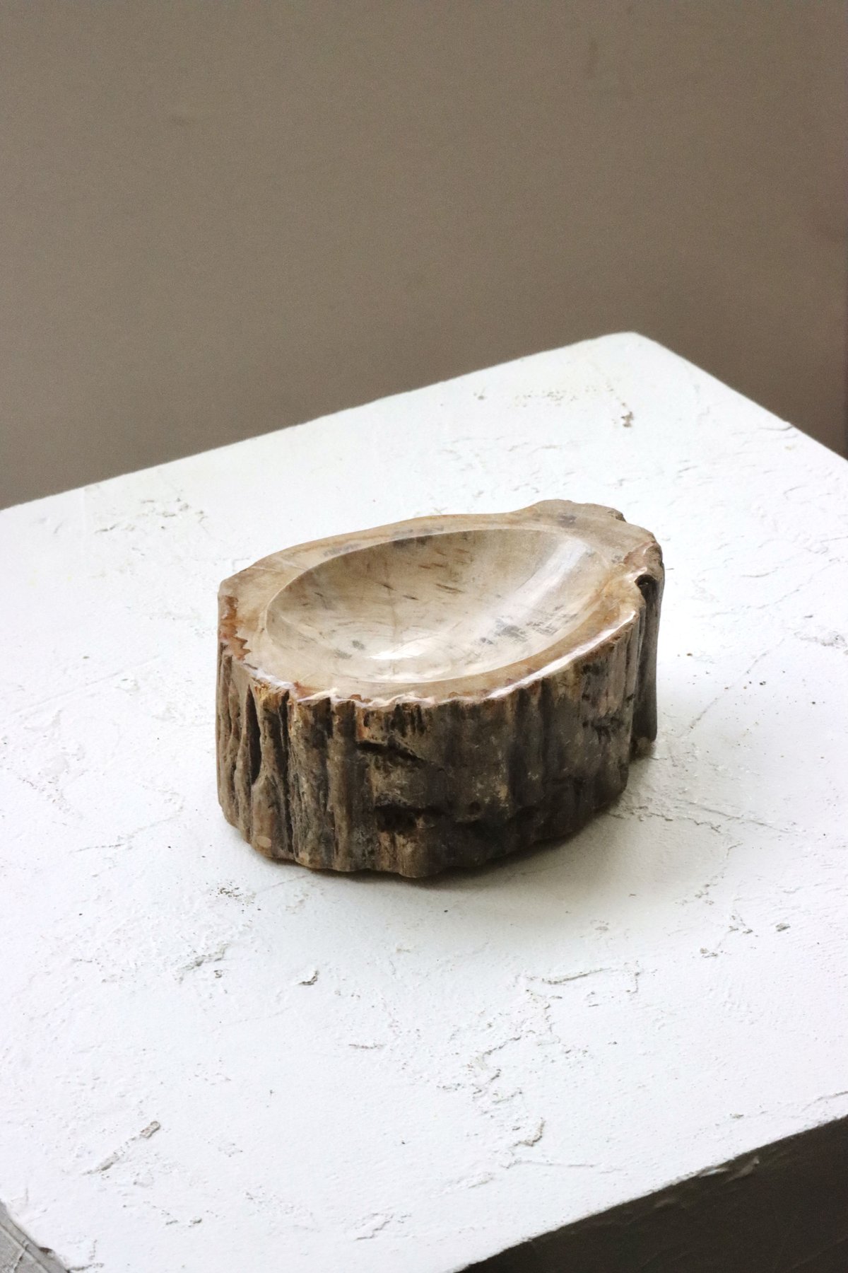 OAK ” Petrified Wood Accessory Tray - S #428