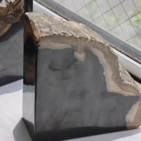 " OAK ” Petrified Wood Bookend - M #003
