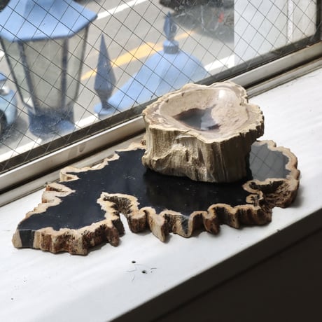 " OAK ” Petrified Wood Plate - M #102