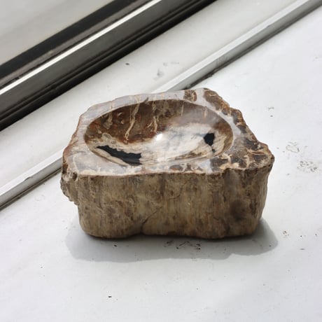 " OAK ” Petrified Wood Accessory Tray - S #439