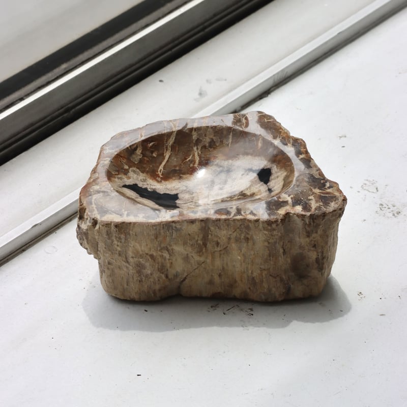 OAK ” Petrified Wood Accessory Tray - S #439
