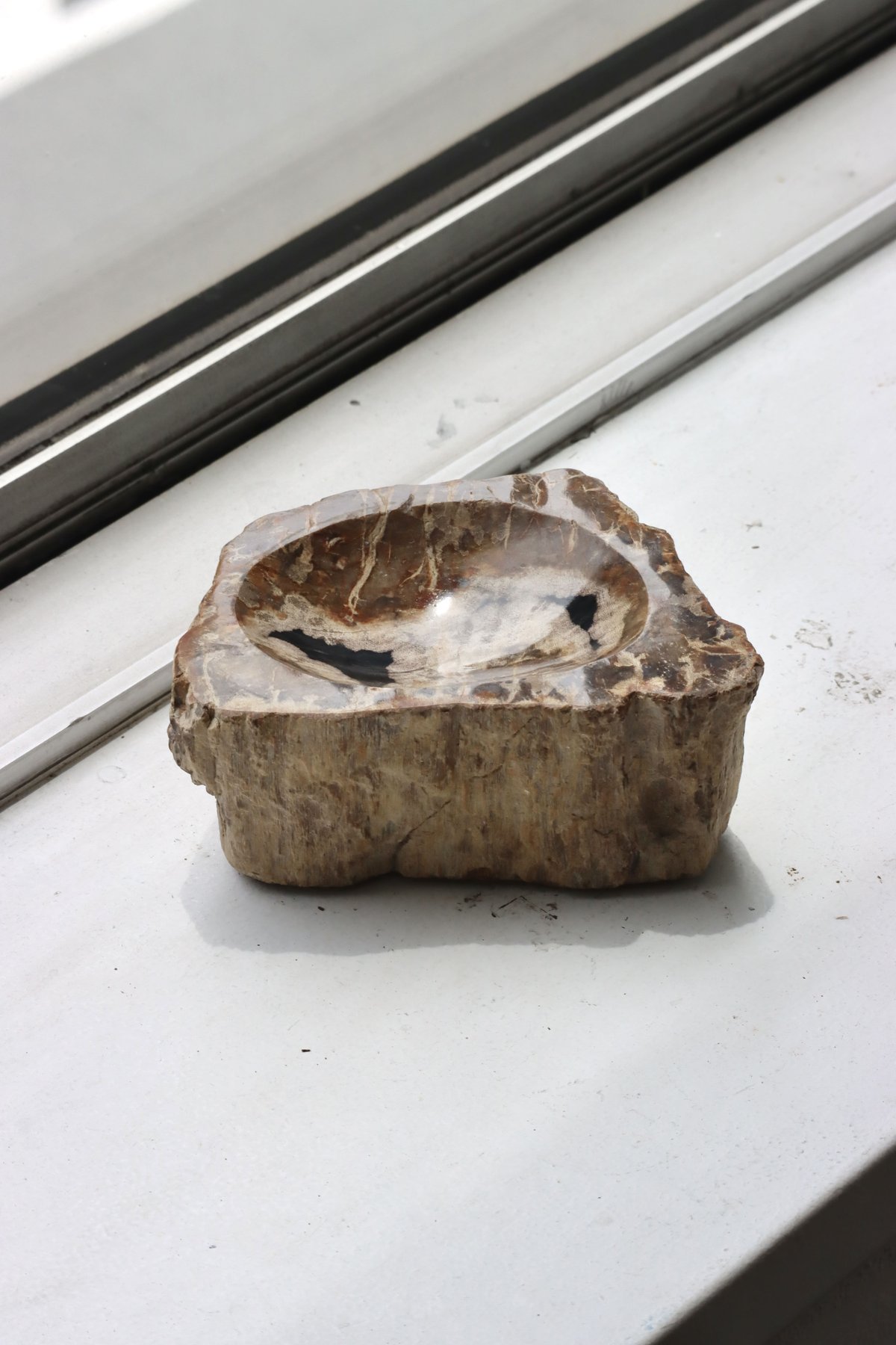 OAK ” Petrified Wood Accessory Tray - S #439