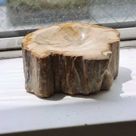 " OAK ” Petrified Wood Accessory Tray - S #421