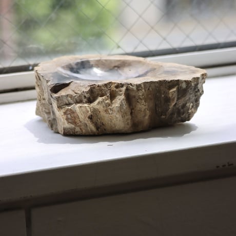 " OAK ” Petrified Wood Accessory Tray - S #408