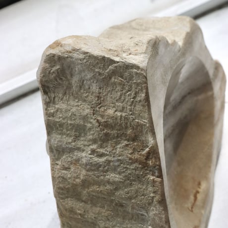 " OAK ” Petrified Wood Accessory Tray - S #441