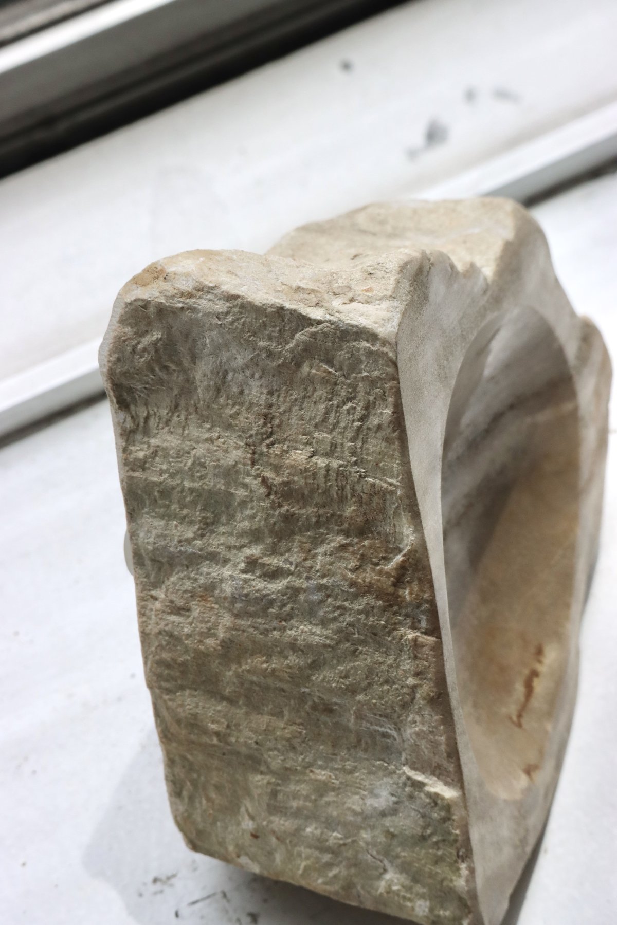 OAK ” Petrified Wood Accessory Tray - S #441