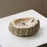 " OAK ” Petrified Wood Accessory Tray - M #418