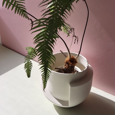 "Light&Ladder" VAYU Ceramic Floor Planter - snow -