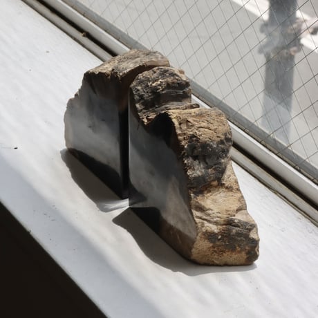 " OAK ” Petrified Wood Bookend - M #003