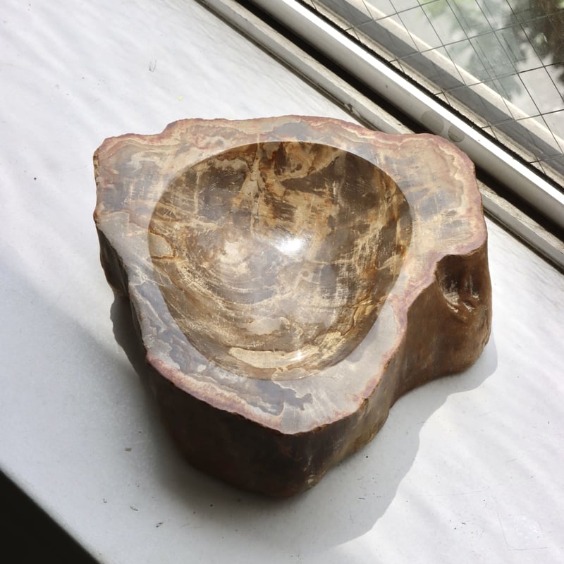 OAK ” Petrified Wood Accessory Tray - M #411