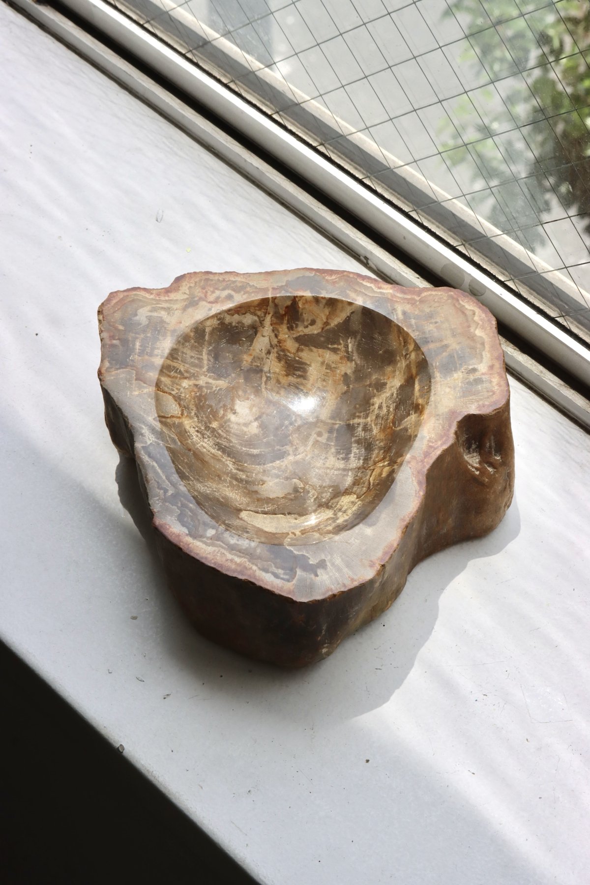 OAK ” Petrified Wood Accessory Tray - M #411