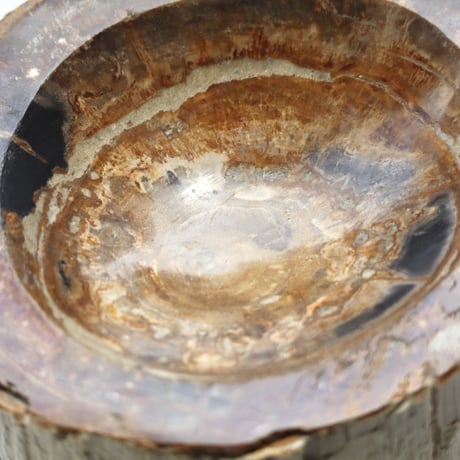 " OAK ” Petrified Wood Accessory Tray - S  #424