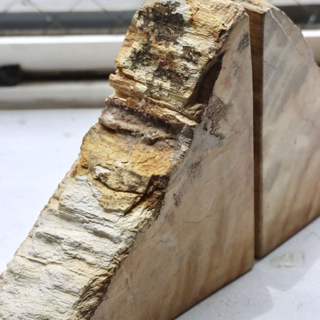 " OAK ” Petrified Wood Bookend - S #003