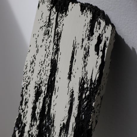 " Daiki Tado " Nature or Nurture