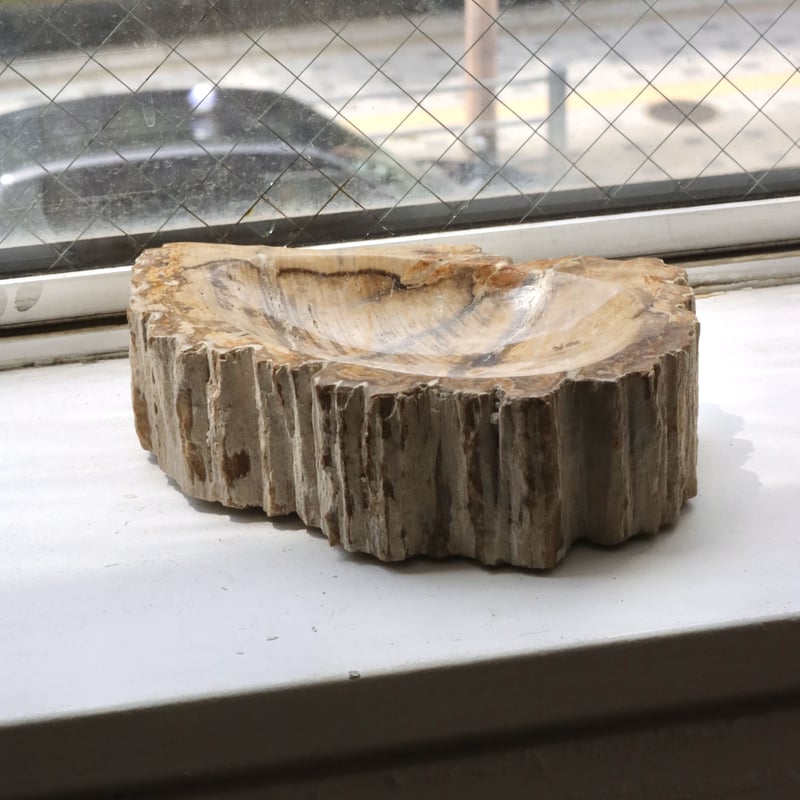 OAK ” Petrified Wood Accessory Tray - M #409