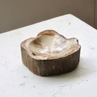 " OAK ” Petrified Wood Accessory Tray - S  #419
