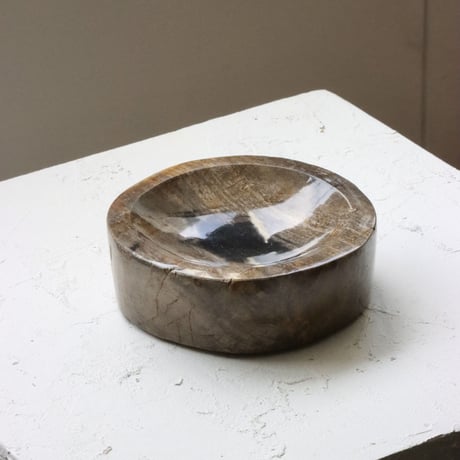 " OAK ” Petrified Wood Accessory Tray - M #414