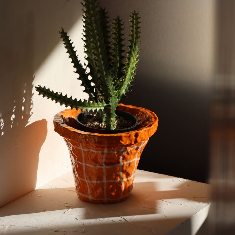 SHOKKI Planter 鉢 SHOKKI