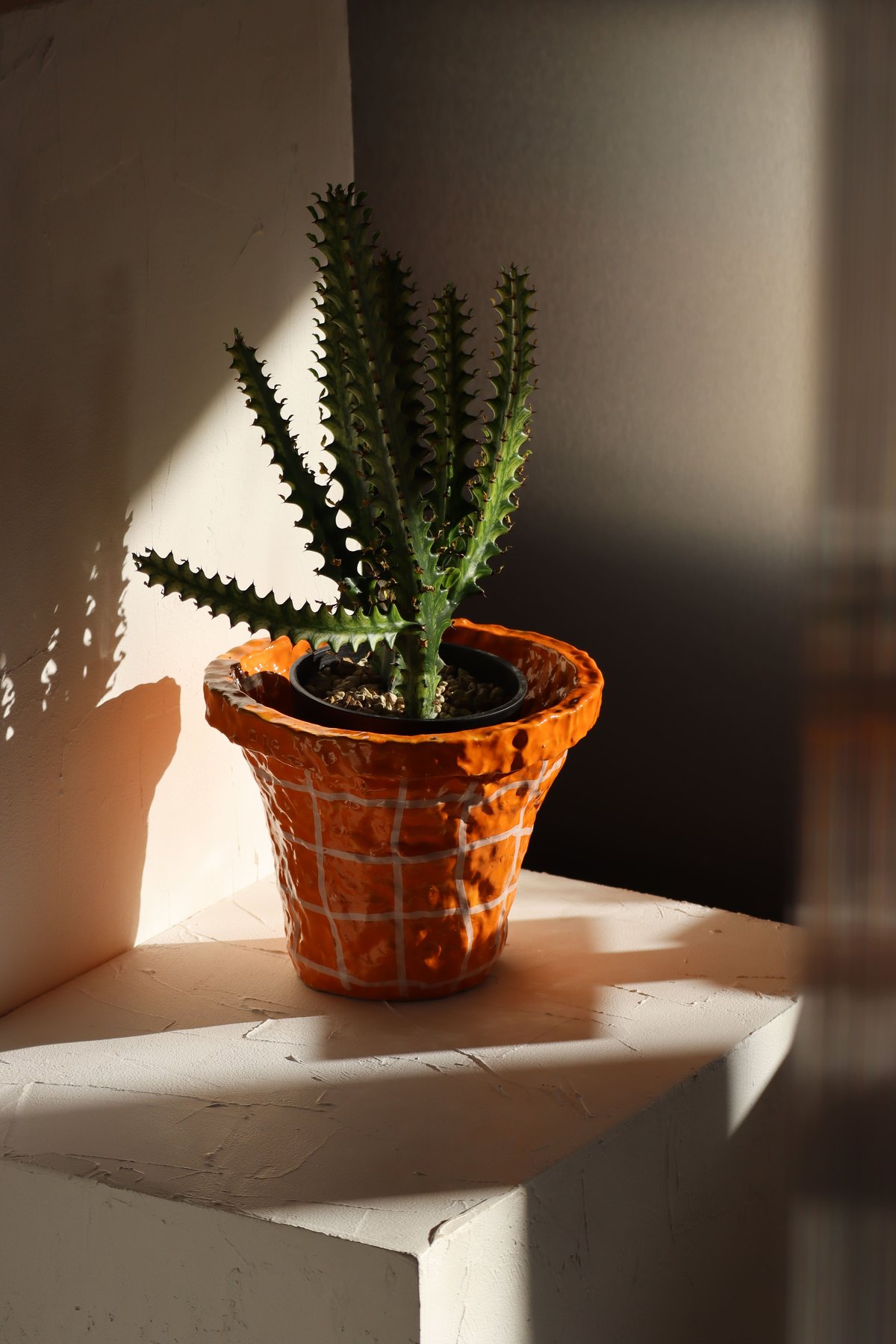 SHOKKI Planter 鉢 SHOKKI