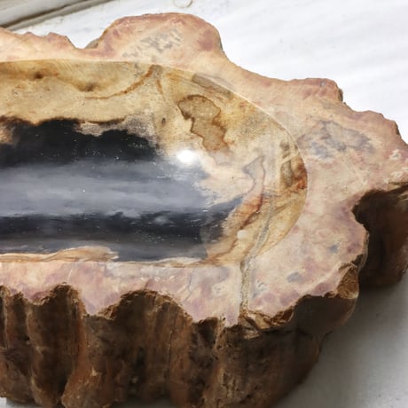 " OAK ” Petrified Wood Accessory Tray - M #403