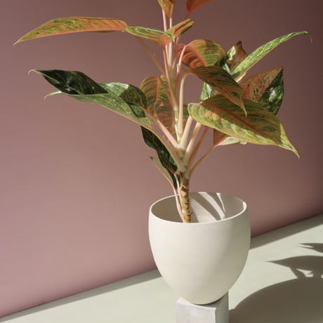 "Light&Ladder" ELEVA Porcelain + Concrete Planter - snow -