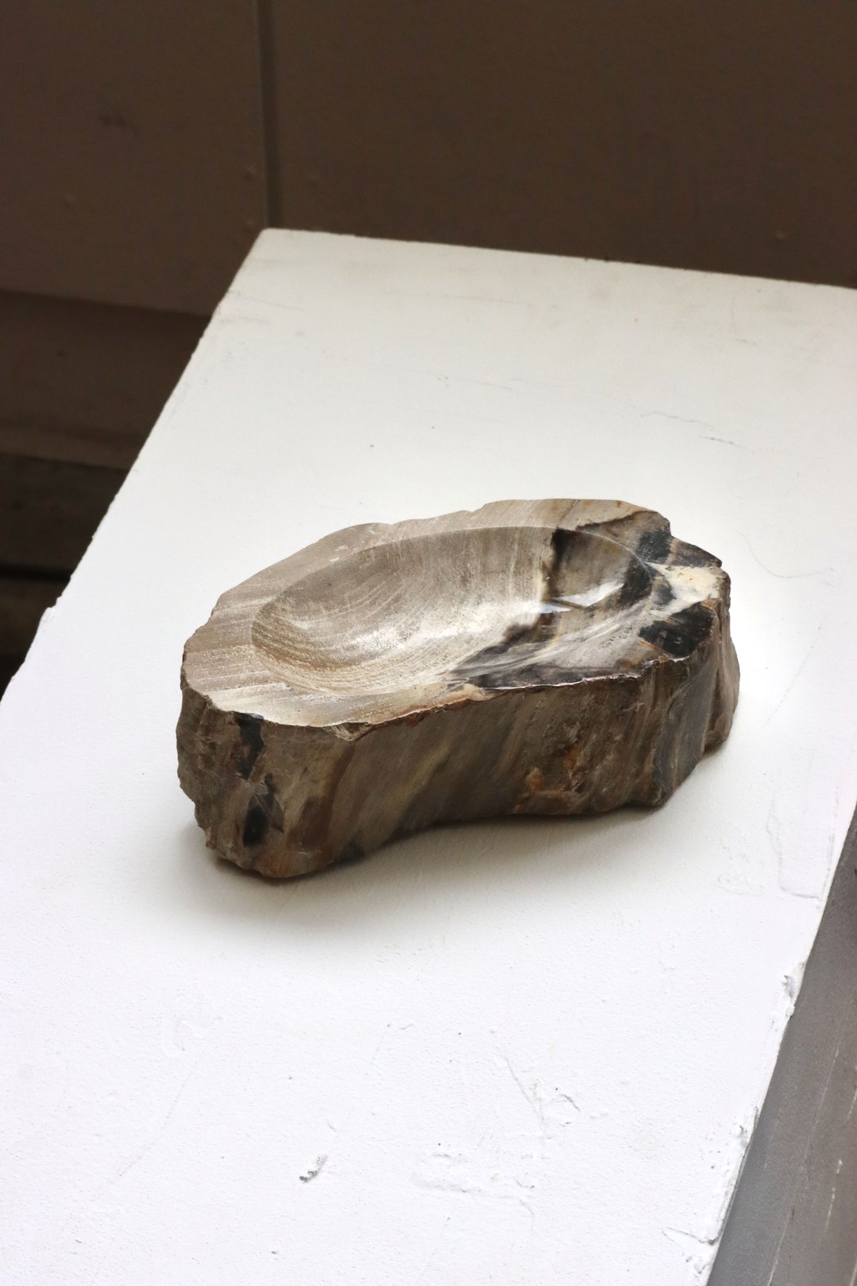 OAK ” Petrified Wood Accessory Tray - M #445