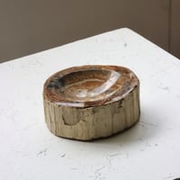 " OAK ” Petrified Wood Accessory Tray - S  #424
