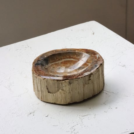 " OAK ” Petrified Wood Accessory Tray - S  #424