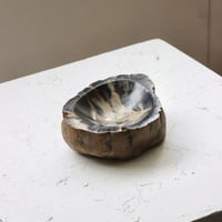" OAK ” Petrified Wood Accessory Tray - S #430