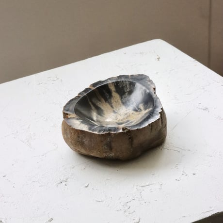 " OAK ” Petrified Wood Accessory Tray - S #430