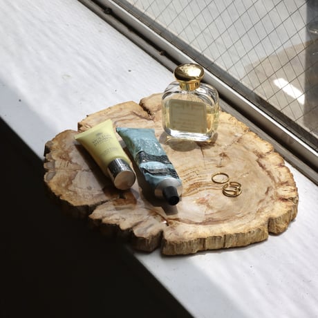 " OAK ” Petrified Wood Plate - M #103