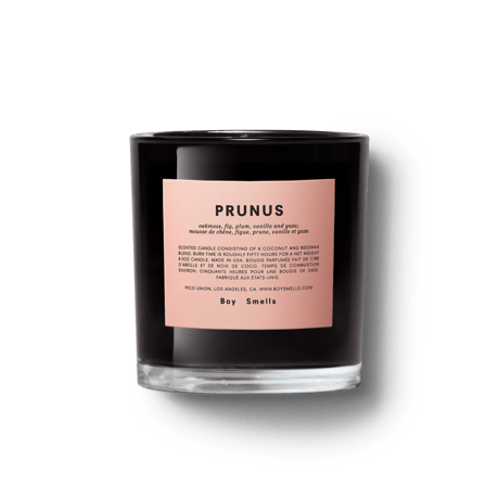 "Boy Smells"  PRUNUS