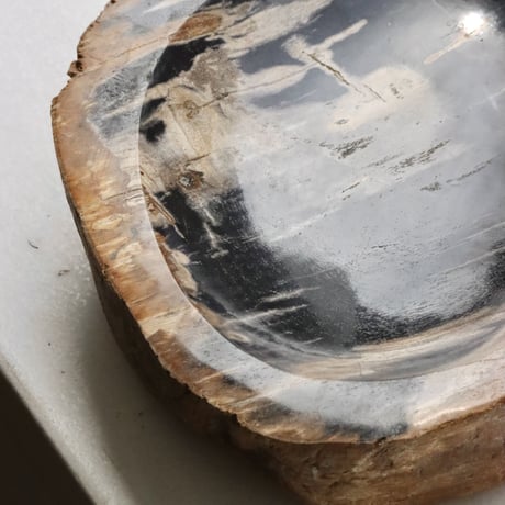 " OAK ” Petrified Wood Accessory Tray - M #401