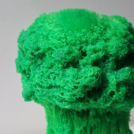 "Tact Inoue" Polybroccoli - M -  383g