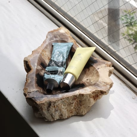 " OAK ” Petrified Wood Accessory Tray - M #415