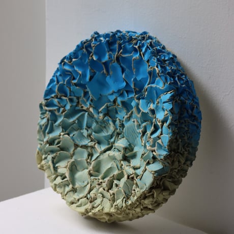 " Ryota Akiyama " Crack and Shrink