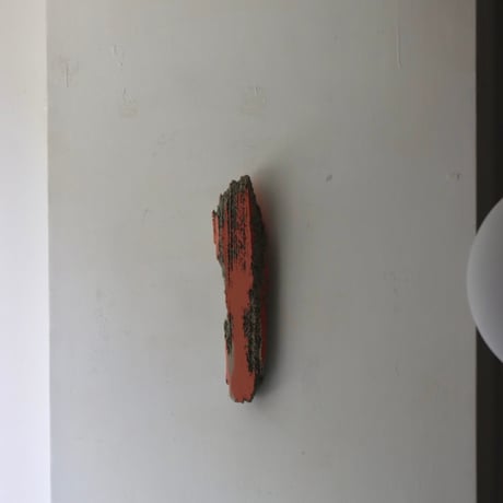 " Daiki Tado " Nature or Nurture