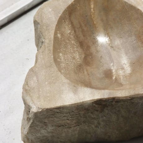 " OAK ” Petrified Wood Accessory Tray - S #441