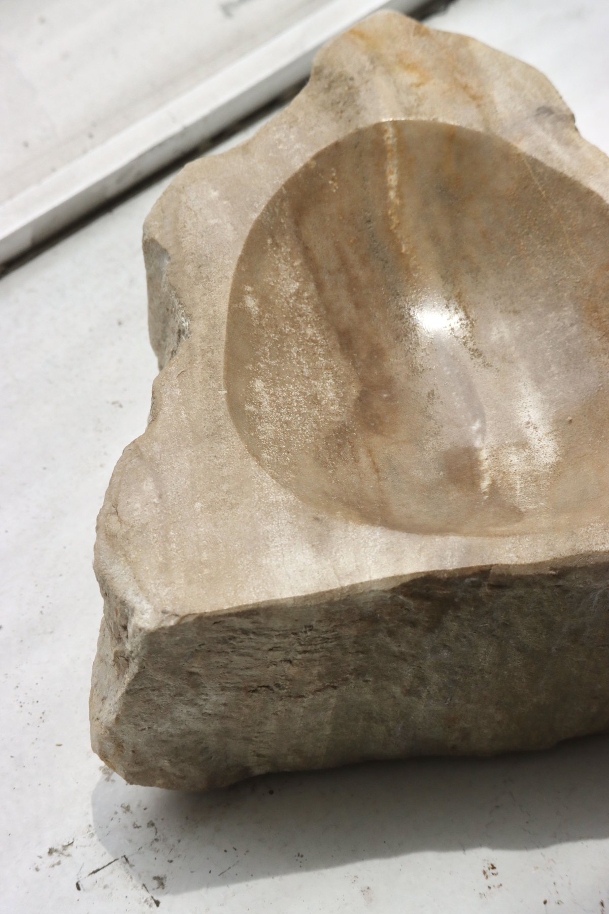 OAK ” Petrified Wood Accessory Tray - S #441