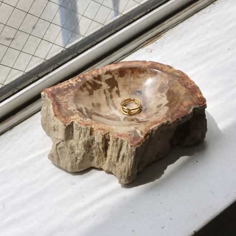 " OAK ” Petrified Wood Accessory Tray - S  #422