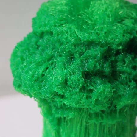"Tact Inoue" Polybroccoli - M -  202g