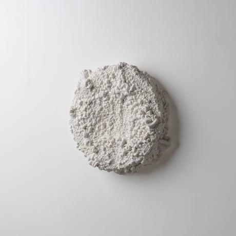 " Ryota Akiyama " Crack and Shrink