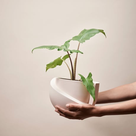 "Light&Ladder" VAYU ceramic tabletop planter - blush -