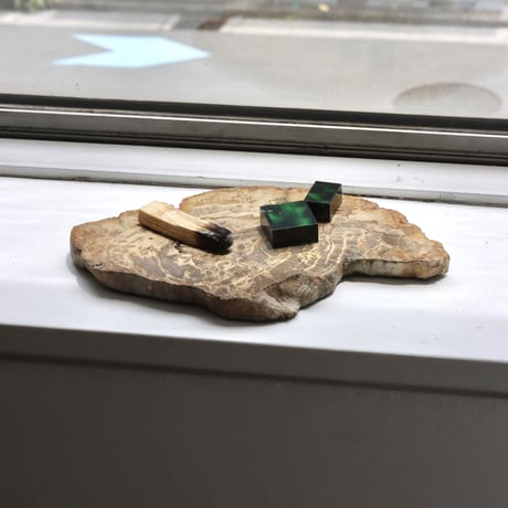 " OAK ” Petrified Wood Plate - S