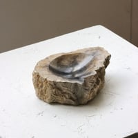 " OAK ” Petrified Wood Accessory Tray - S #408