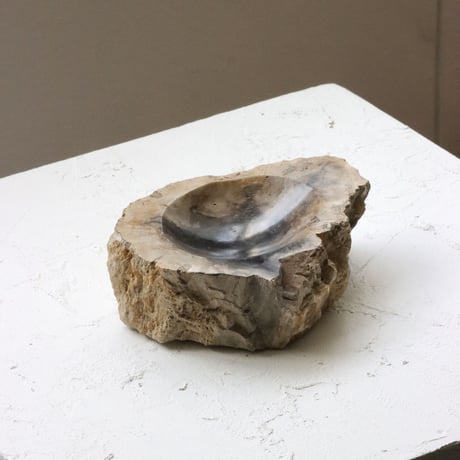 " OAK ” Petrified Wood Accessory Tray - S #408